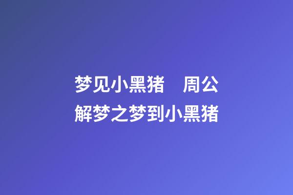 梦见小黑猪　周公解梦之梦到小黑猪